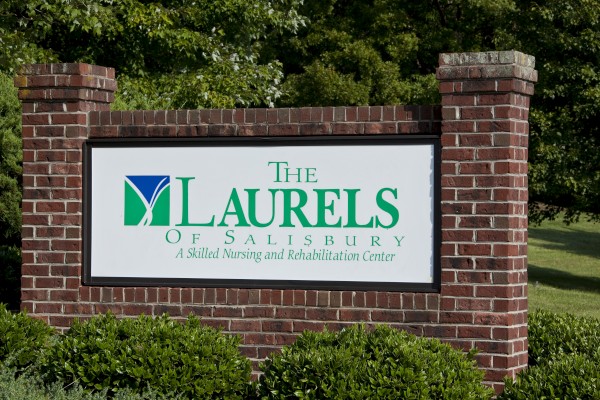 The Laurels of Salisbury